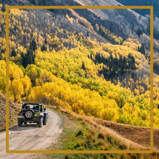 jeep driving in denali forest for adventure tour
